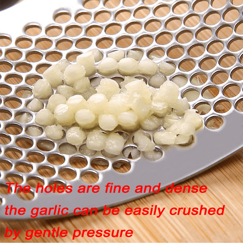 Stainless Steel Garlic Crusher